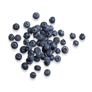 Organic Frozen Wild Blueberries, 5 lb.
